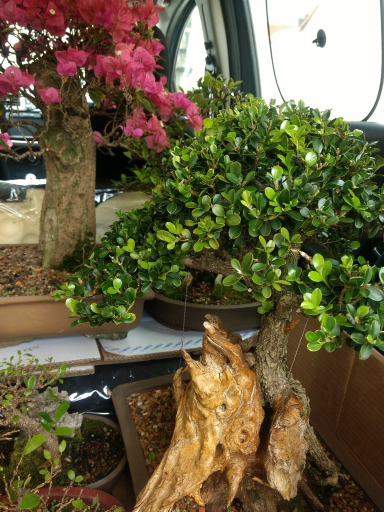 IMG_20170923_112123999