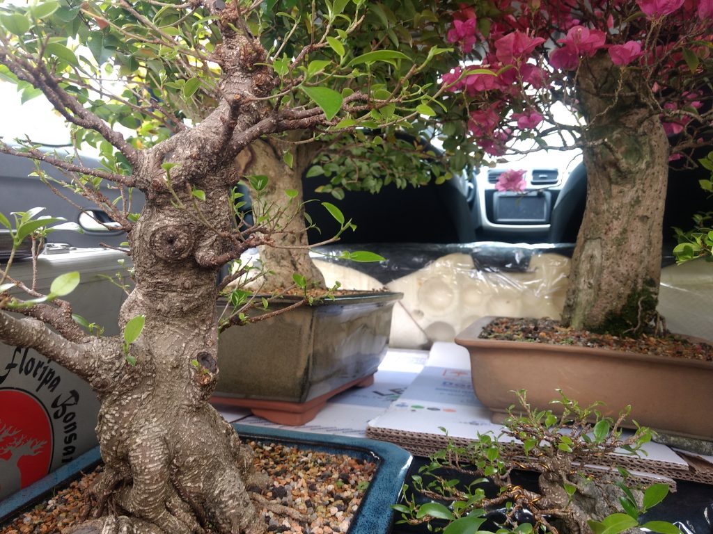 IMG_20170923_112133805