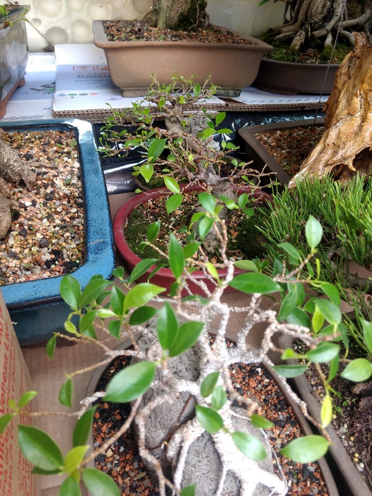 IMG_20170923_112145541