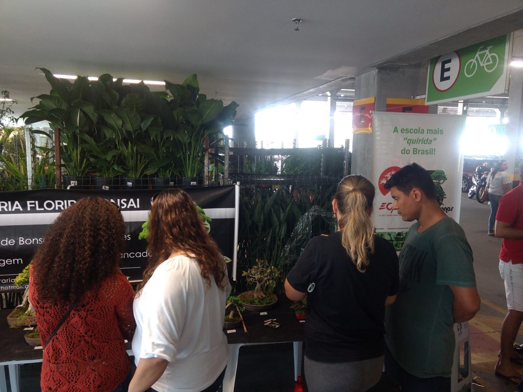 IMG_20170923_144245192