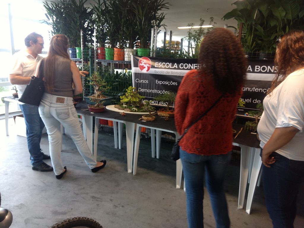 IMG_20170923_144249266