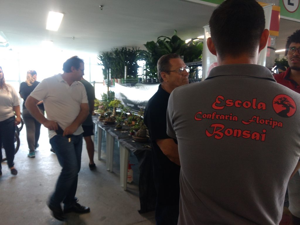 IMG_20170923_144314334_BURST001