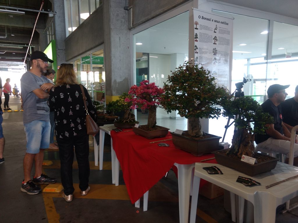 IMG_20170923_144324488