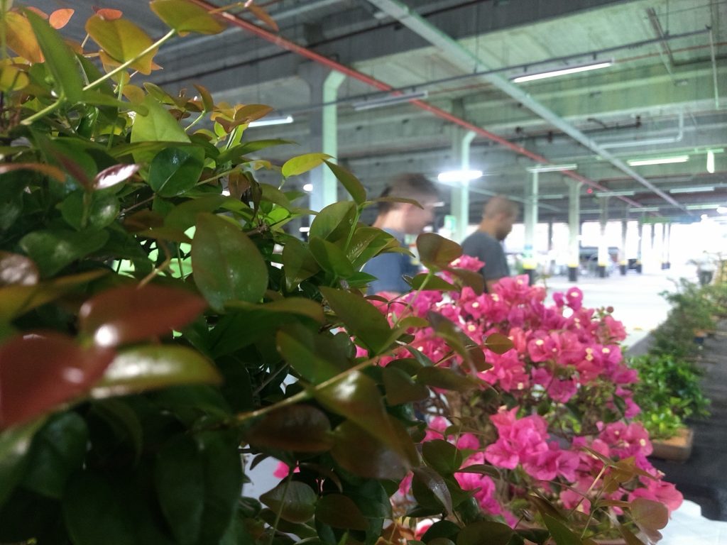 IMG_20170923_175705899