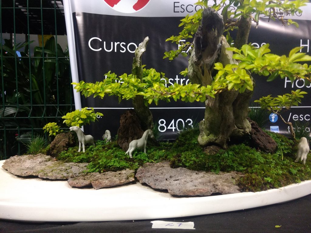 IMG_20170923_180644752