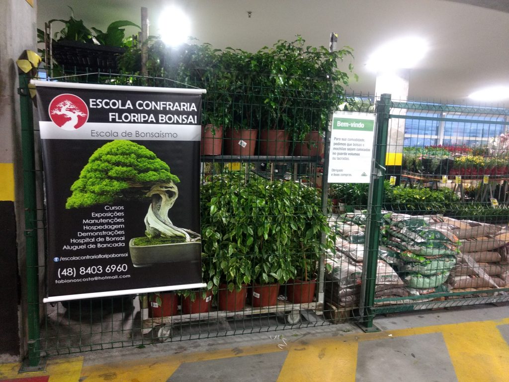 IMG_20170923_180729656