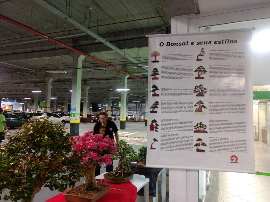 IMG_20170923_180740234