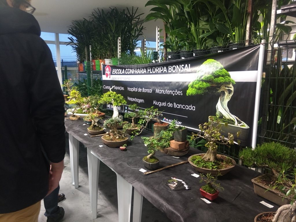 IMG_20170923_180748241