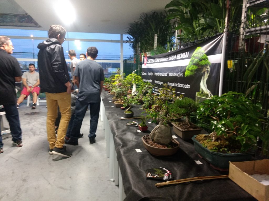 IMG_20170923_180803175