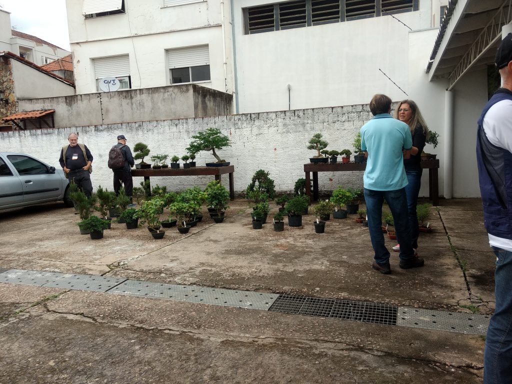 IMG_20170930_141316756