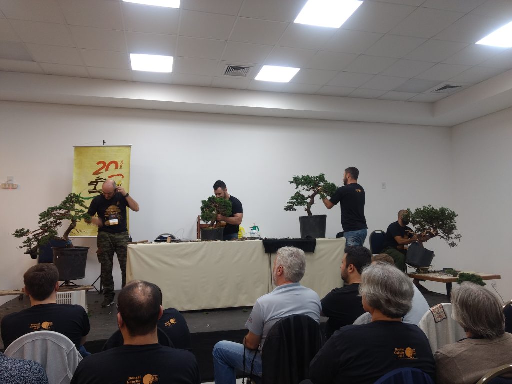 IMG_20170930_154416286_BURST001