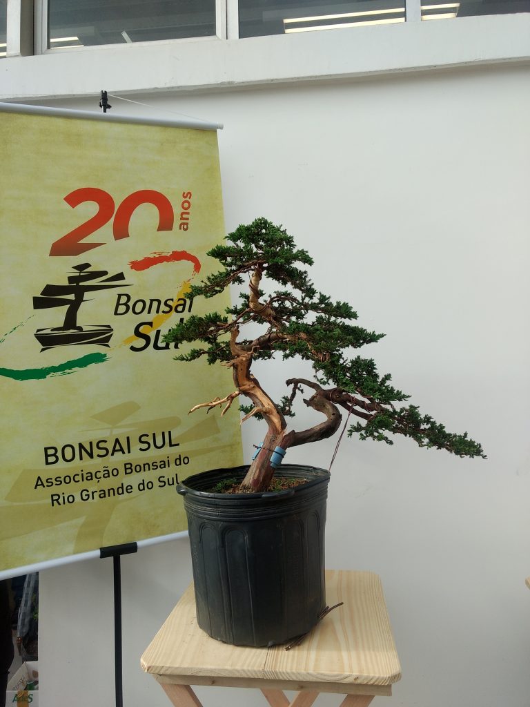 IMG_20170930_163153835