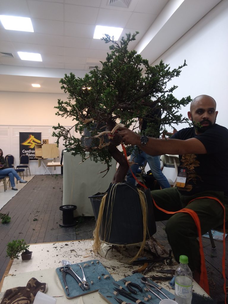 IMG_20170930_165931427