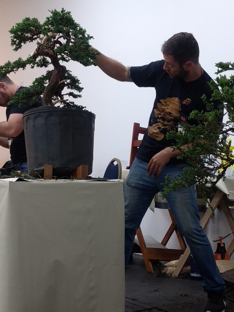 IMG_20170930_170103561