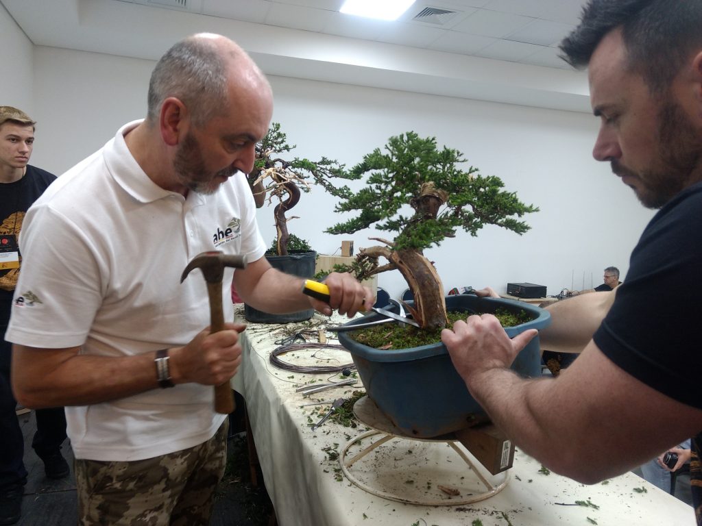 IMG_20171001_151947746