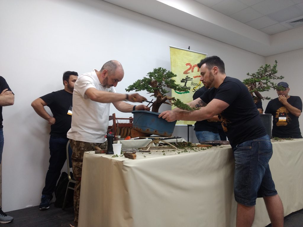 IMG_20171001_153456023