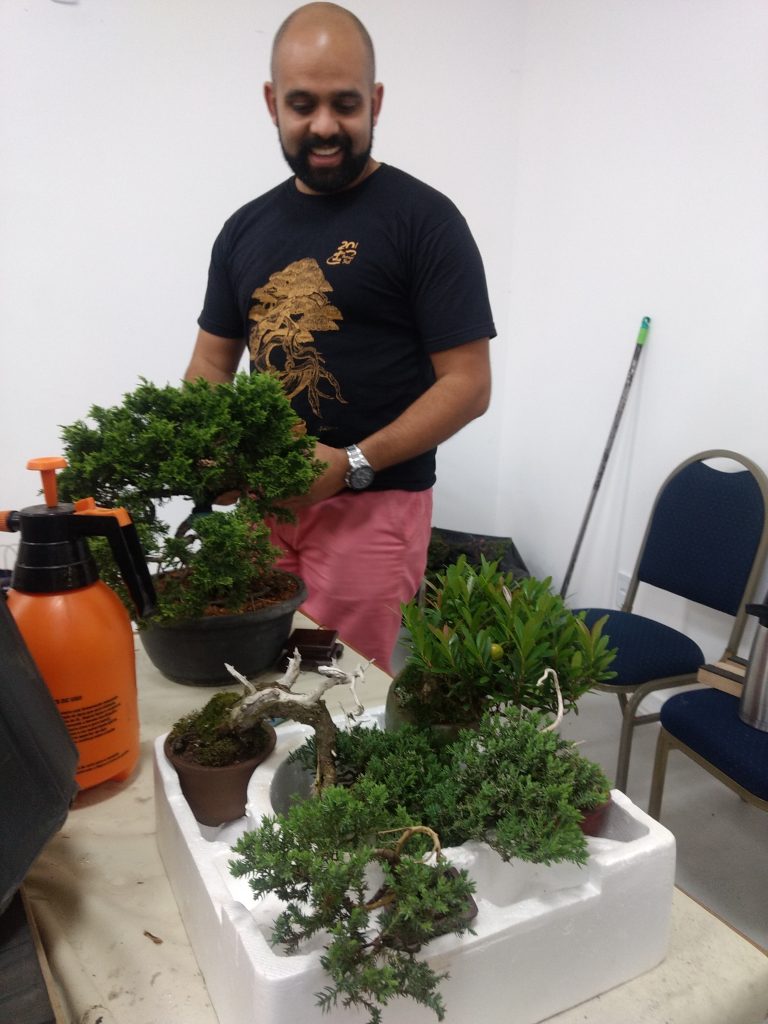 IMG_20171001_155646743_BURST001