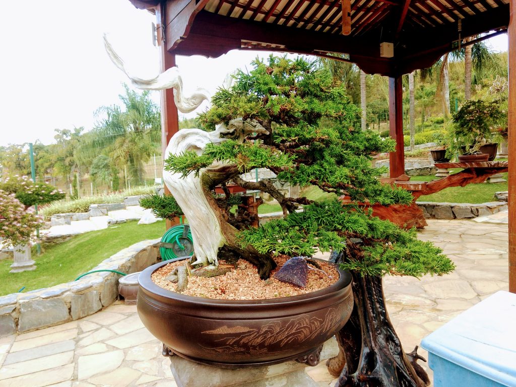 IMG_20180525_145405198~2