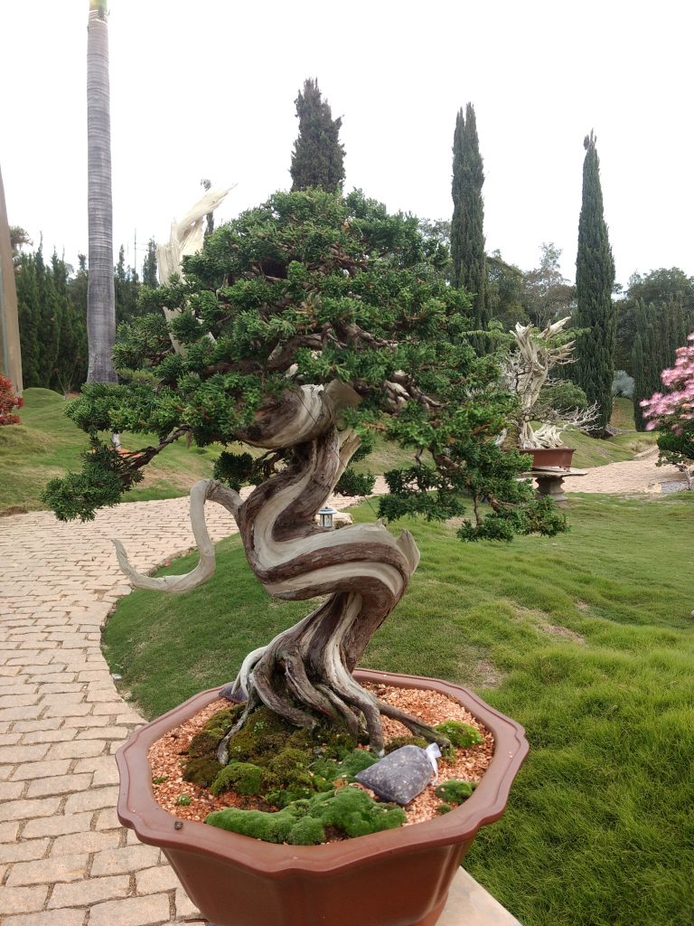 IMG_20180525_145501324