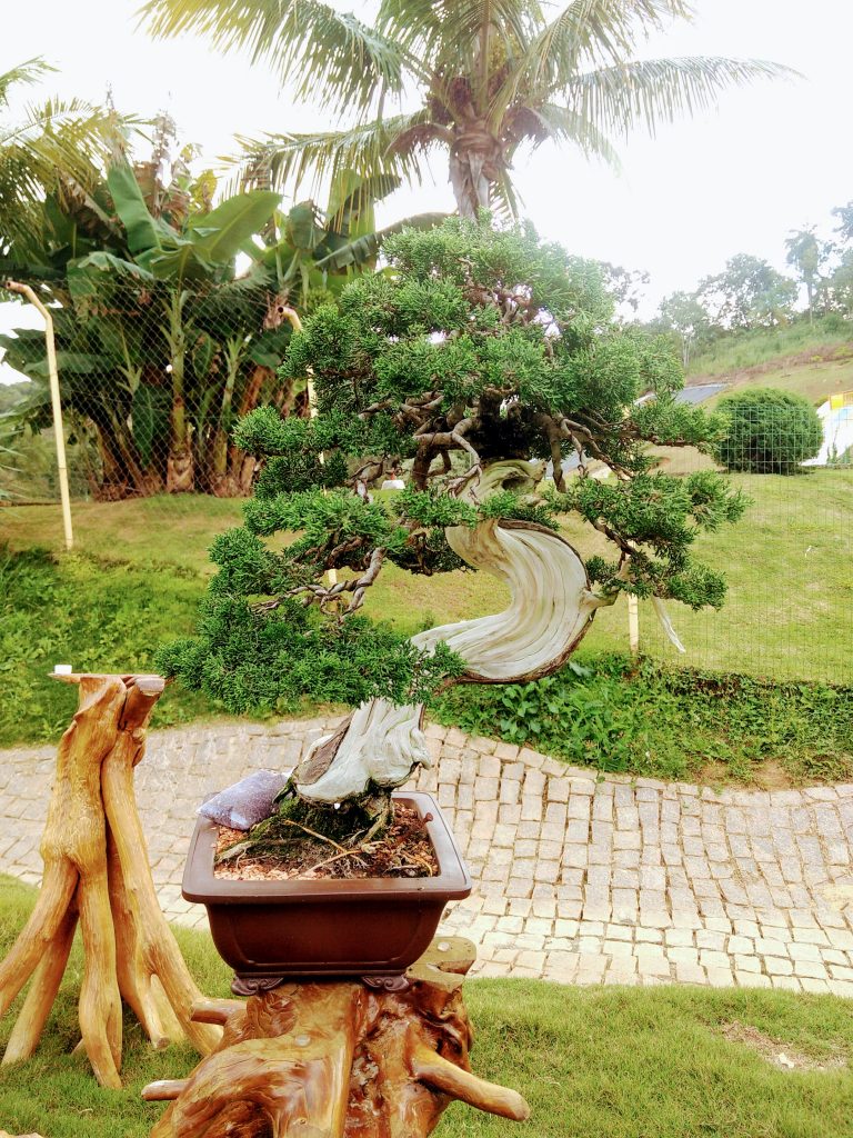 IMG_20180525_150059022~2