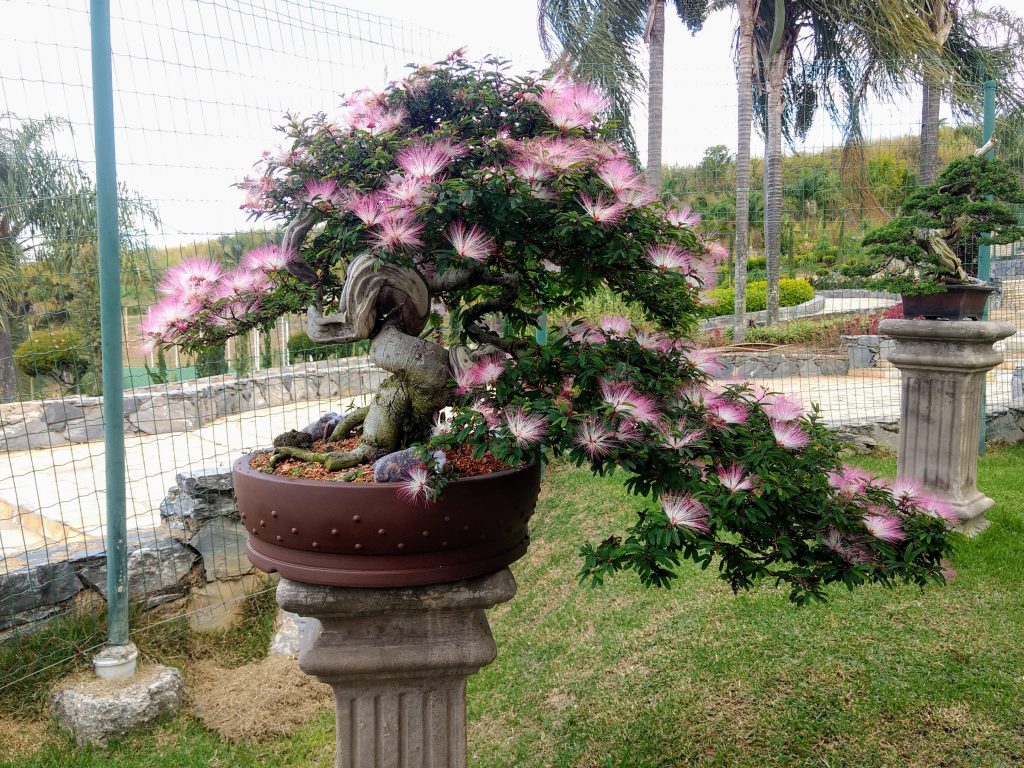 IMG_20180525_150558334~2