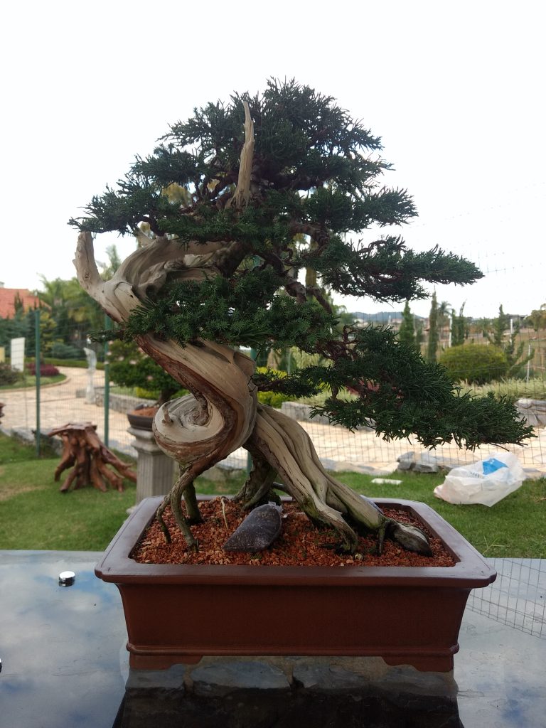 IMG_20180525_150627347