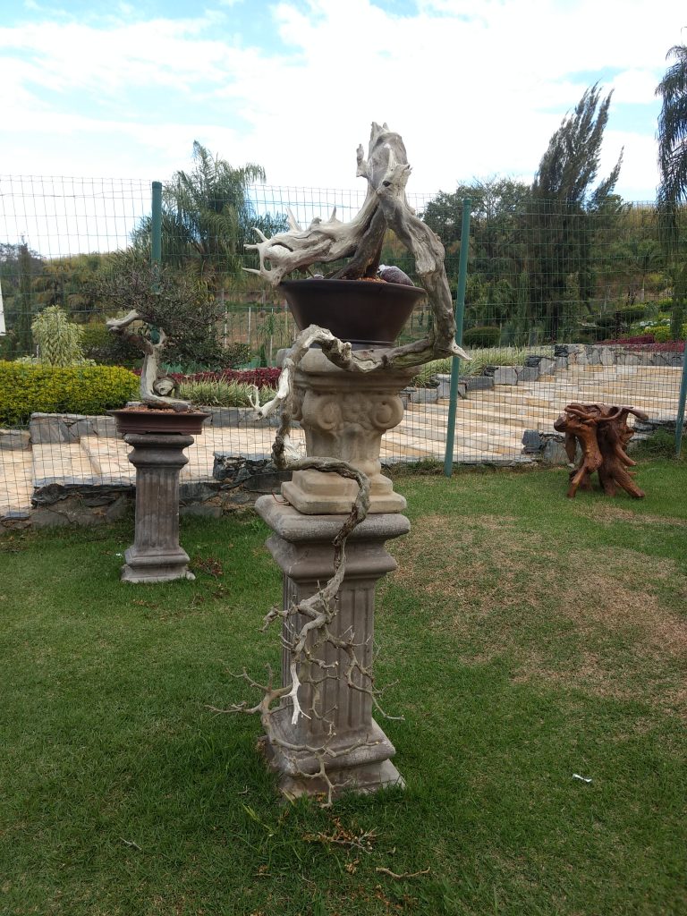 IMG_20180525_150843494