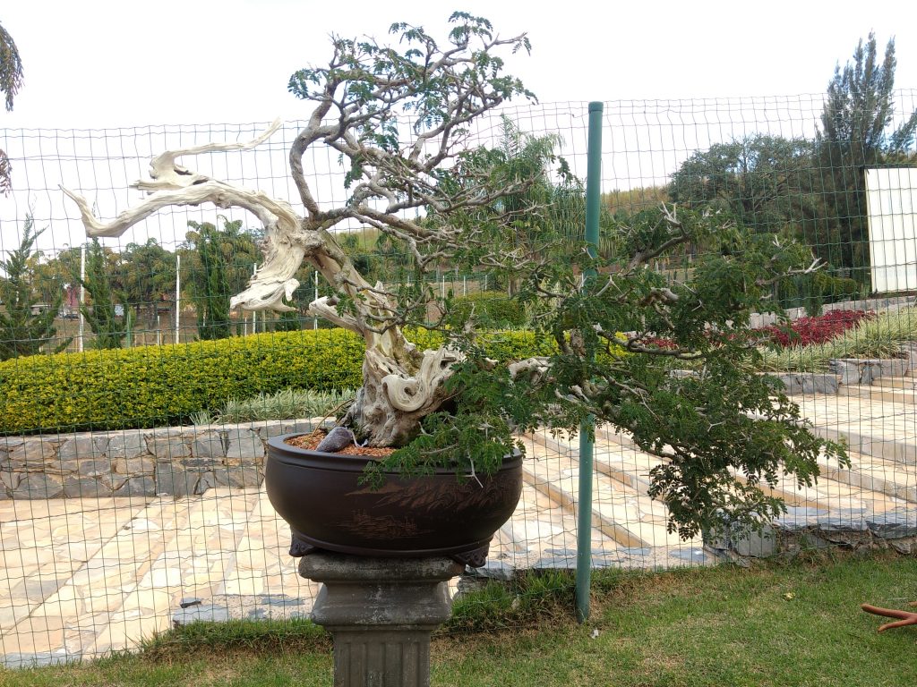 IMG_20180525_150950157