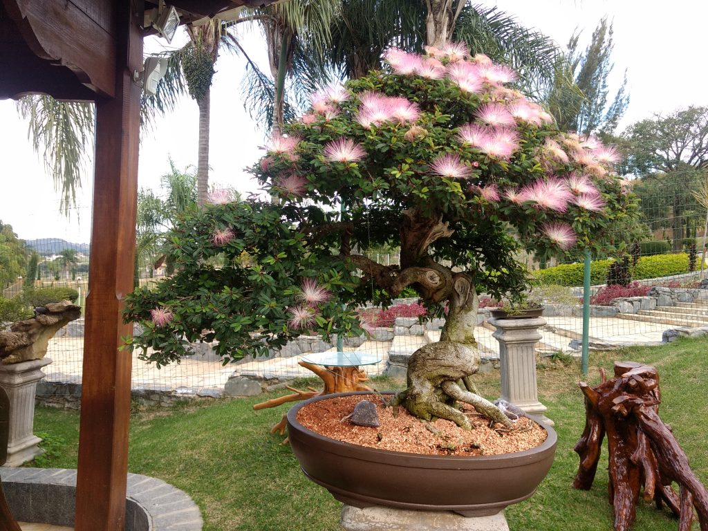 IMG_20180525_151149217