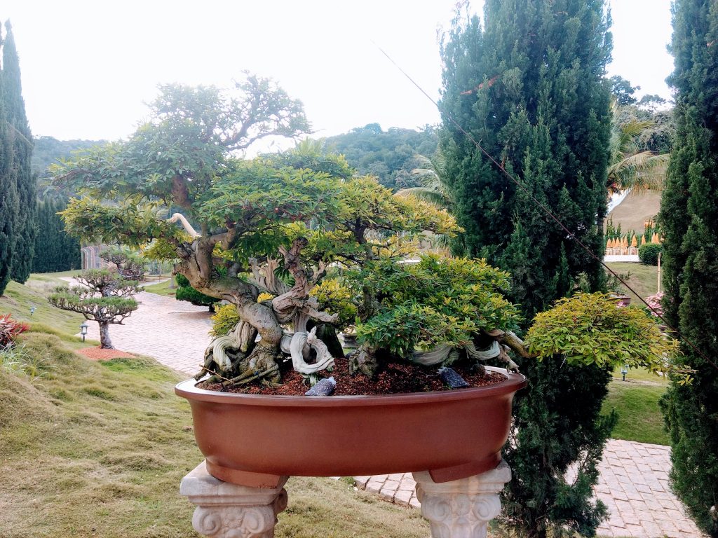 IMG_20180525_151212355~2