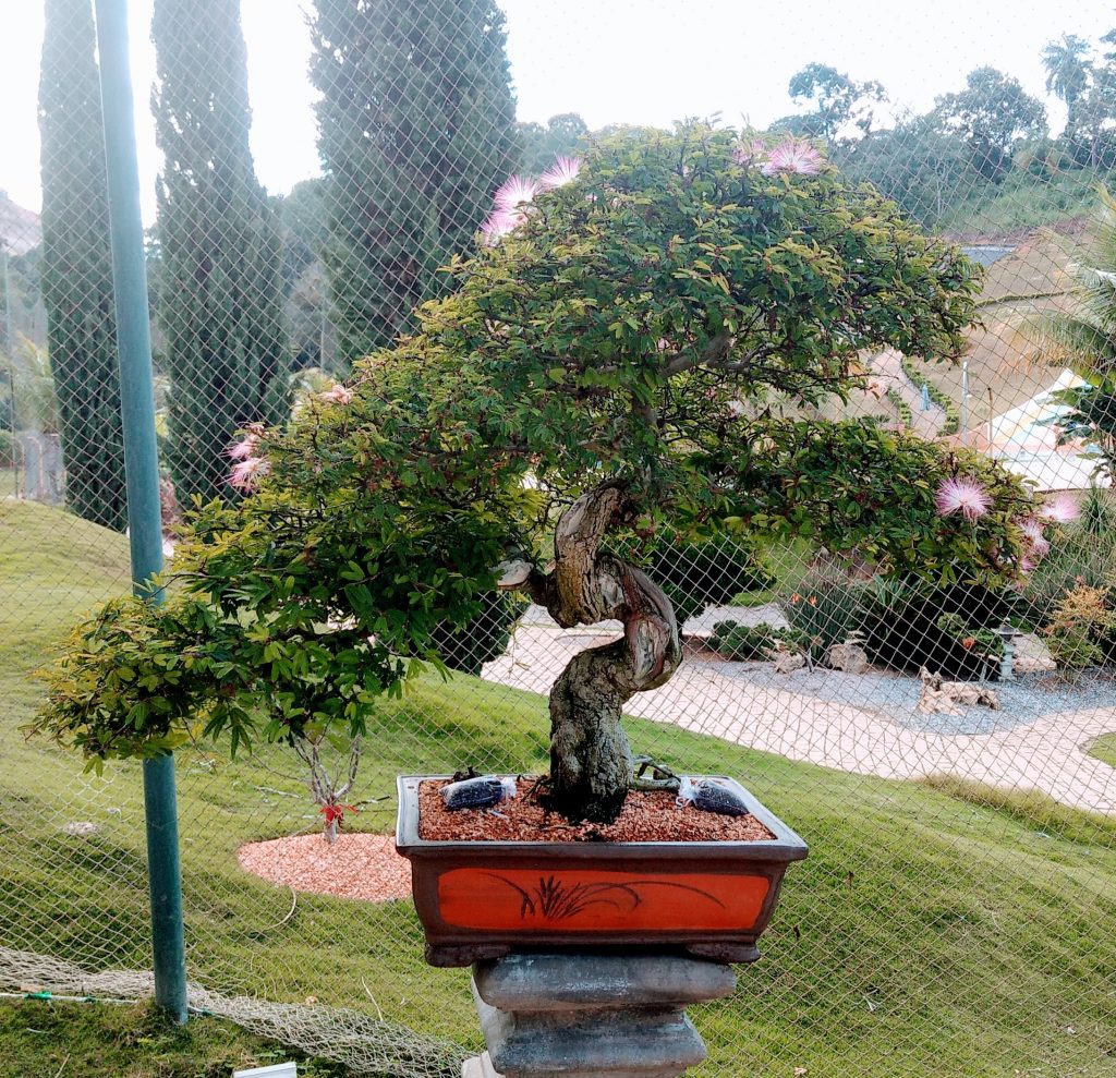 IMG_20180525_151401702~2