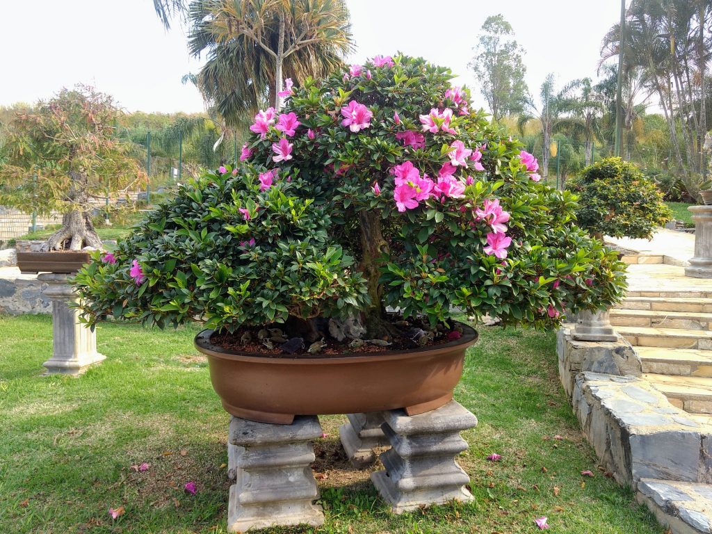 IMG_20180525_151500291~2