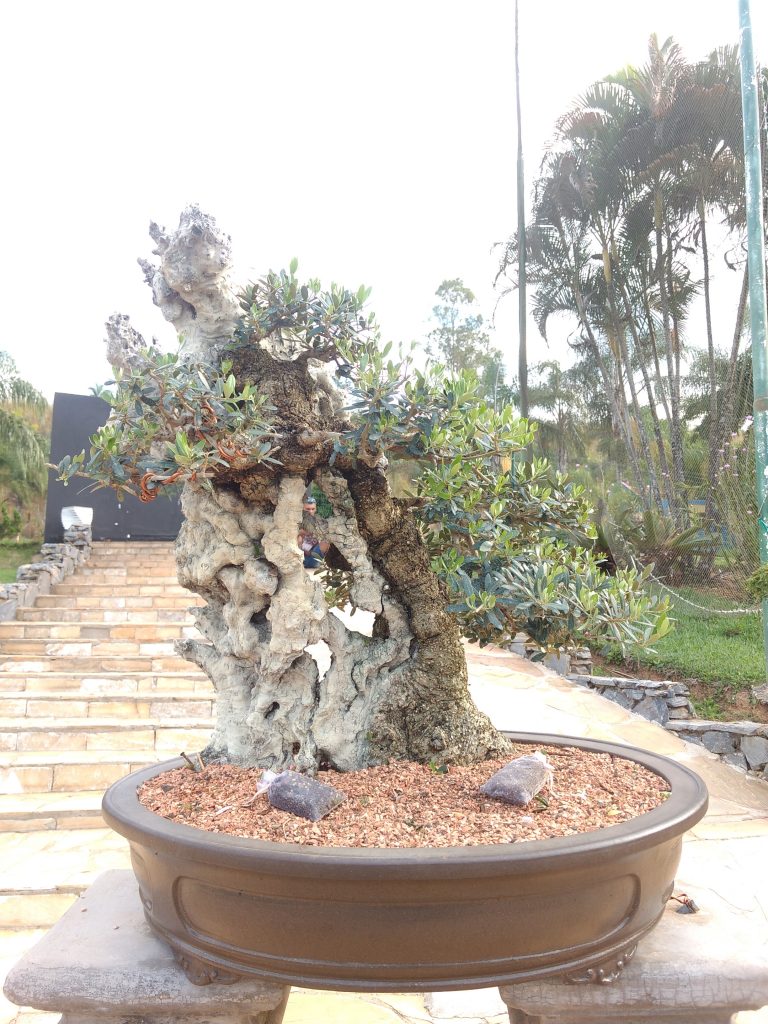 IMG_20180525_151536074