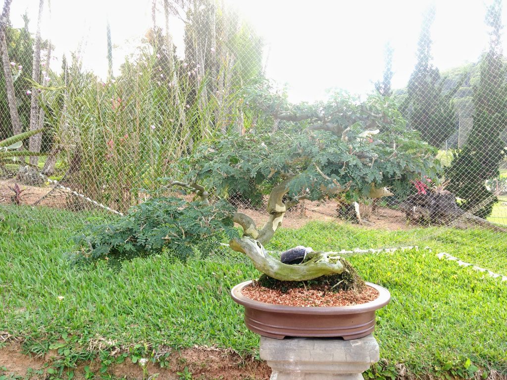 IMG_20180525_151718619~2