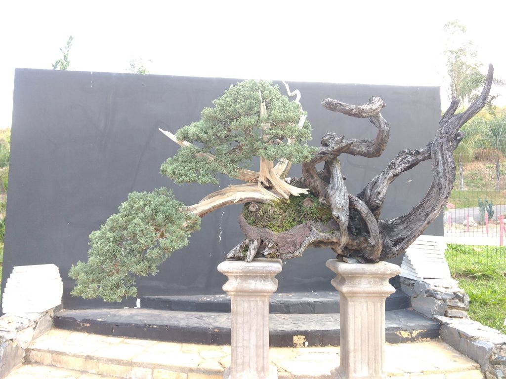 IMG_20180525_151801538