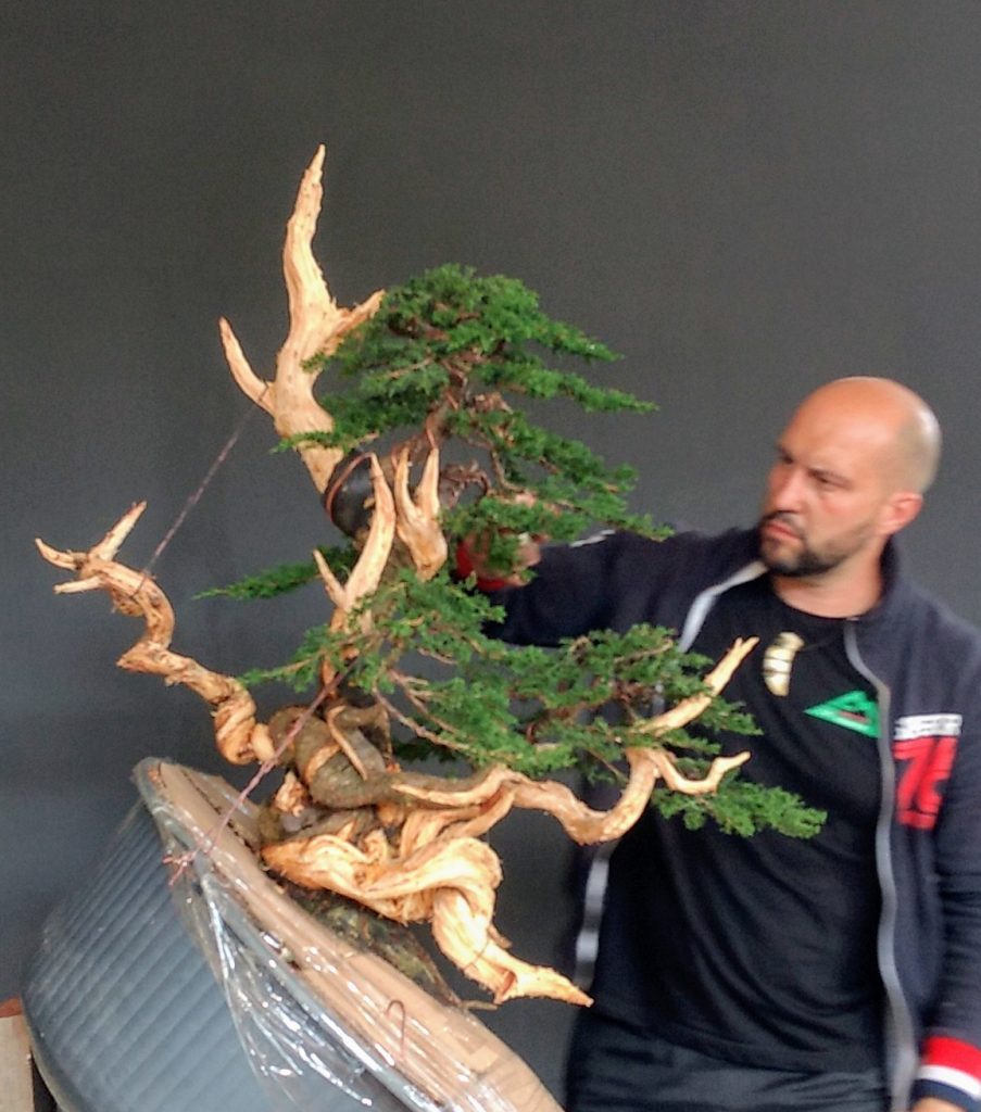 IMG_20180525_154439641~2