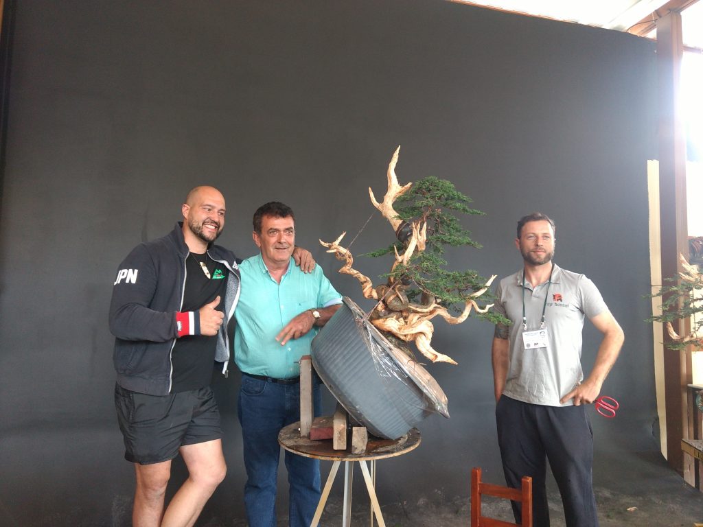 IMG_20180525_154631915_BURST000_COVER_TOP