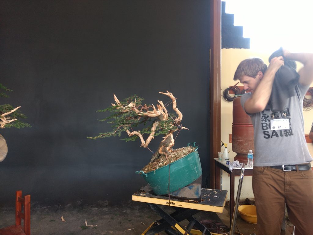 IMG_20180525_154810431