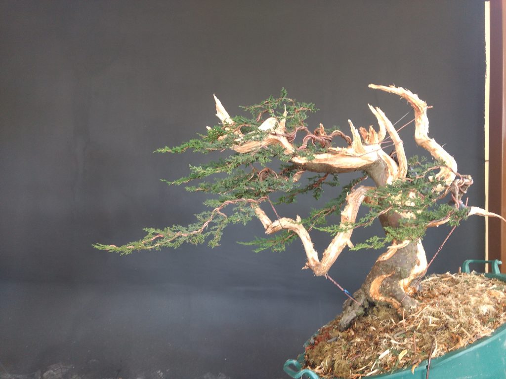 IMG_20180525_154855267