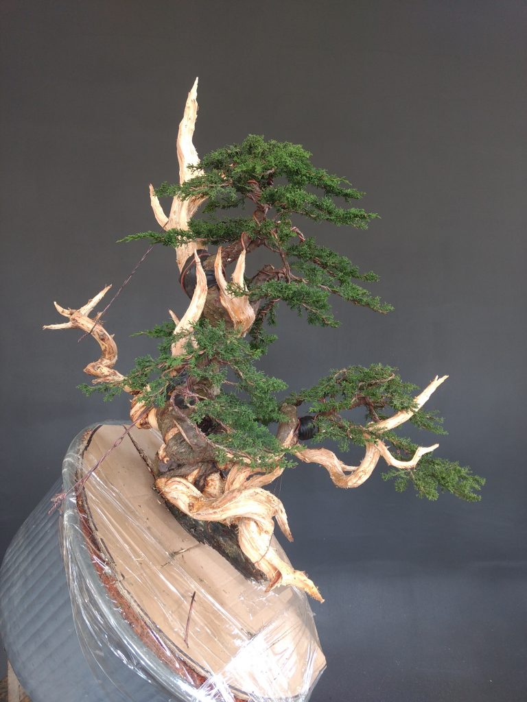 IMG_20180525_154911893