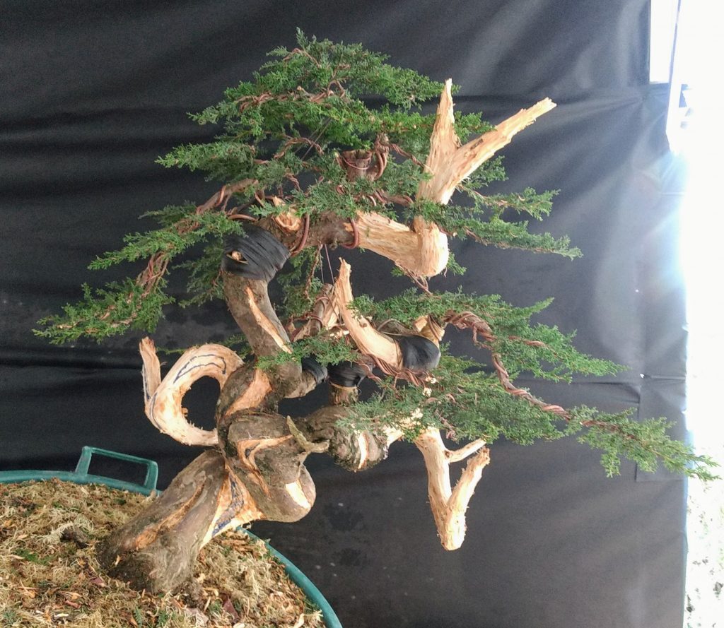 IMG_20180526_125518639~2