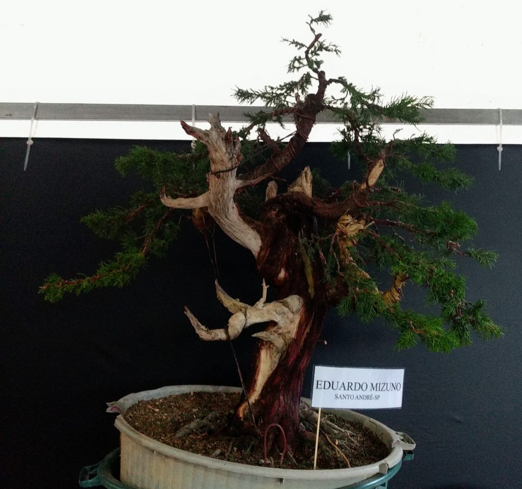 IMG_20180526_171508103~3