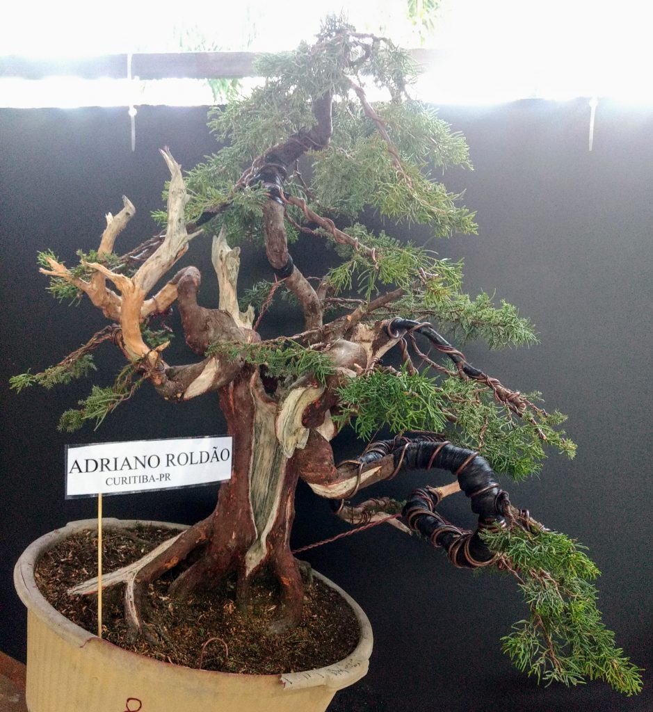 IMG_20180526_171524593~2