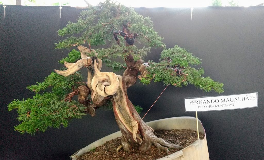 IMG_20180526_171536849~2