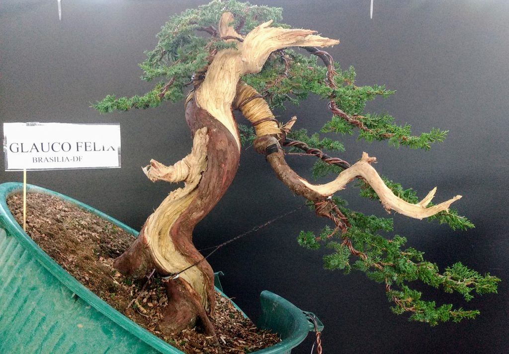 IMG_20180526_171549493~2