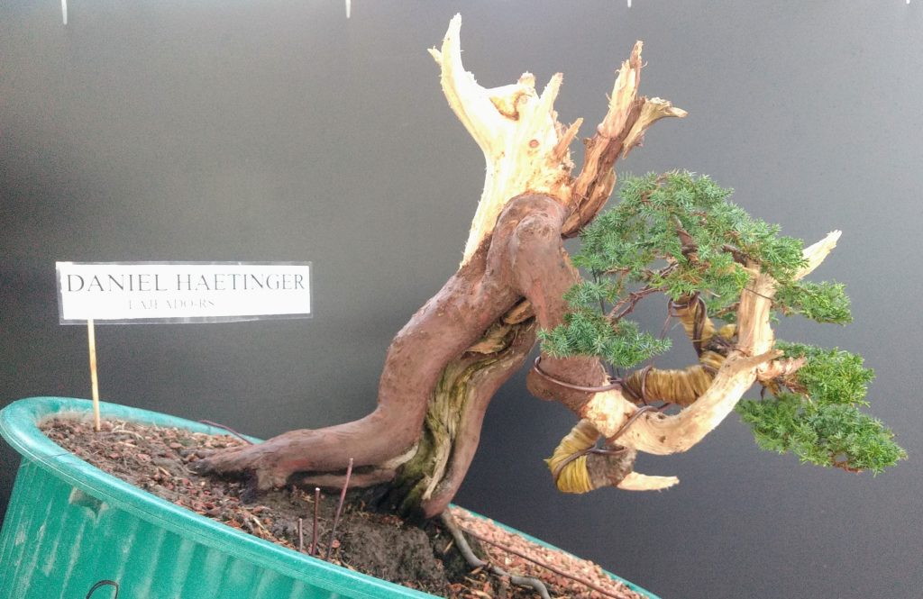 IMG_20180526_171558364~2