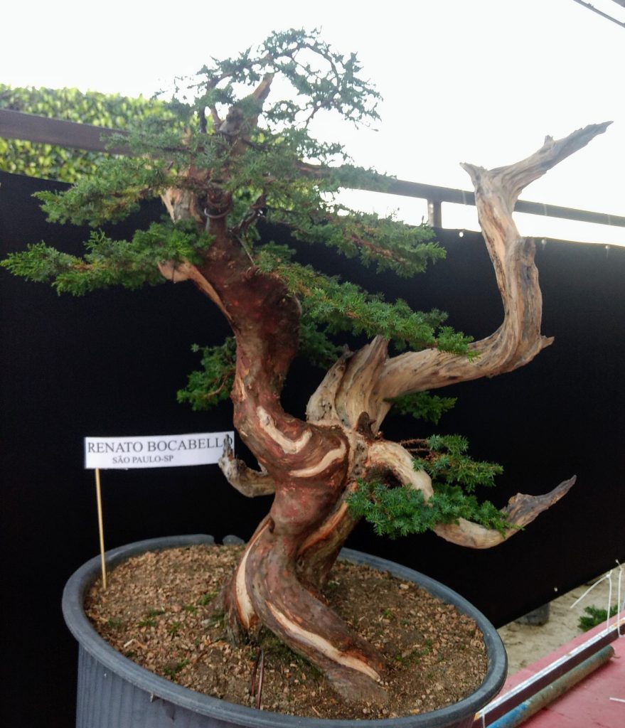 IMG_20180526_171612125~2