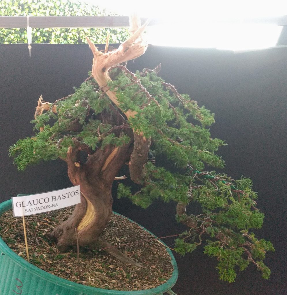 IMG_20180526_171626119~2