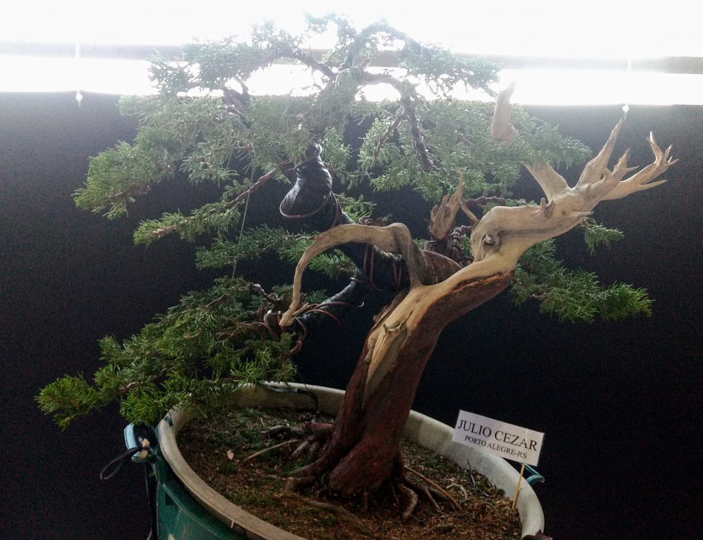 IMG_20180526_171700599~2