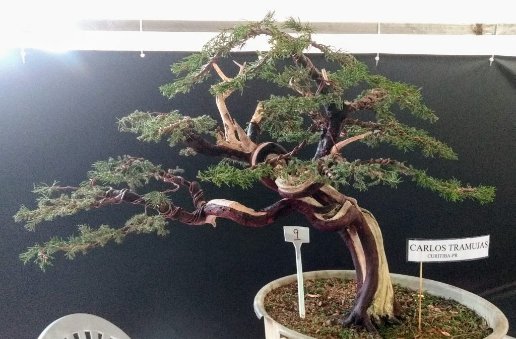 IMG_20180526_171749607~2